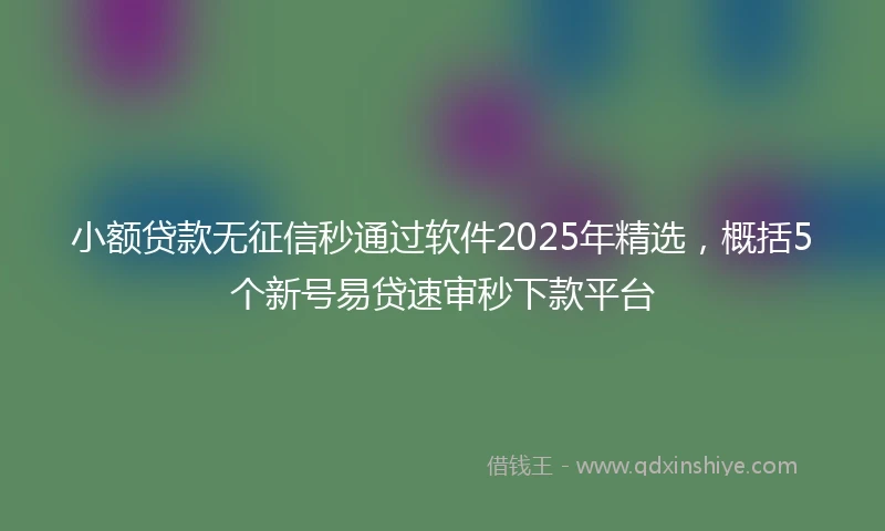 小额贷款无征信秒通过软件2025年精选，概括5个新号易贷速审秒下款平台