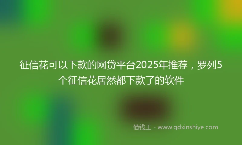 征信花可以下款的网贷平台2025年推荐，罗列5个征信花居然都下款了的软件