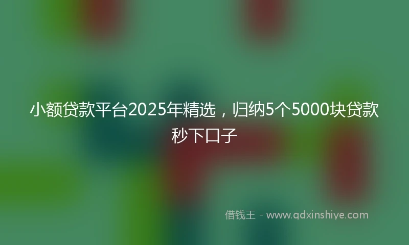 小额贷款平台2025年精选，归纳5个5000块贷款秒下口子