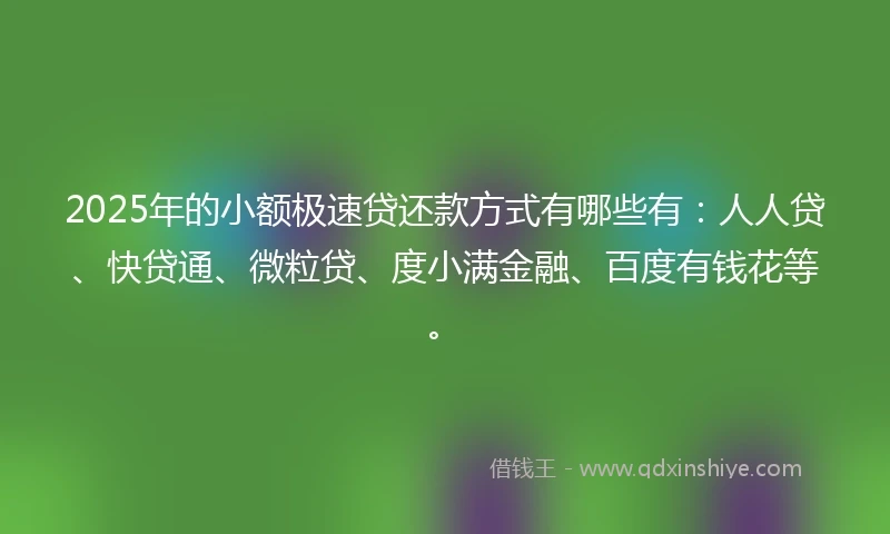 2025年的小额极速贷还款方式有哪些有：人人贷、快贷通、微粒贷、度小满金融、百度有钱花等。