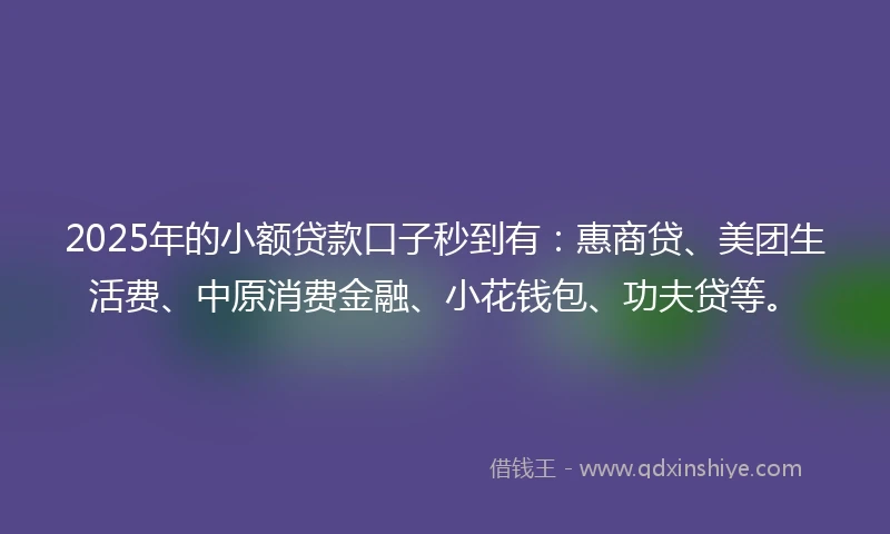 2025年的小额贷款口子秒到有：惠商贷、美团生活费、中原消费金融、小花钱包、功夫贷等。