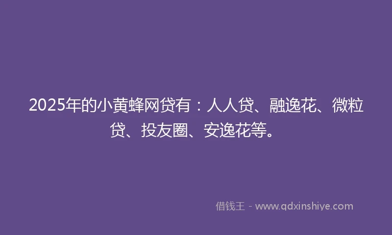 2025年的小黄蜂网贷有：人人贷、融逸花、微粒贷、投友圈、安逸花等。