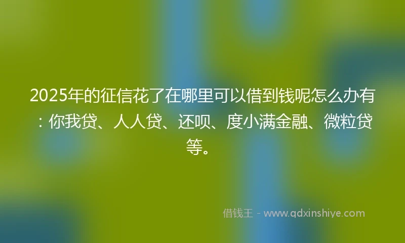 2025年的征信花了在哪里可以借到钱呢怎么办有:你我贷、人人贷、还呗、度小满金融、微粒贷等。