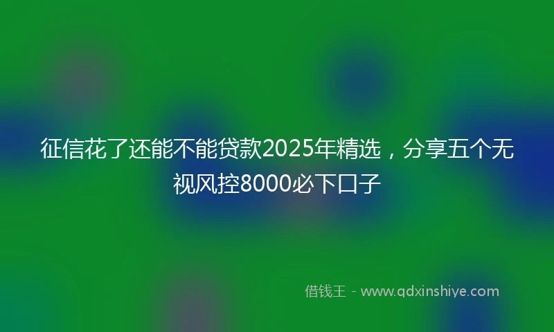 征信花了还能不能贷款2025年精选，分享五个无视风控8000必下口子