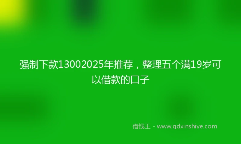 强制下款13002025年推荐，整理五个满19岁可以借款的口子