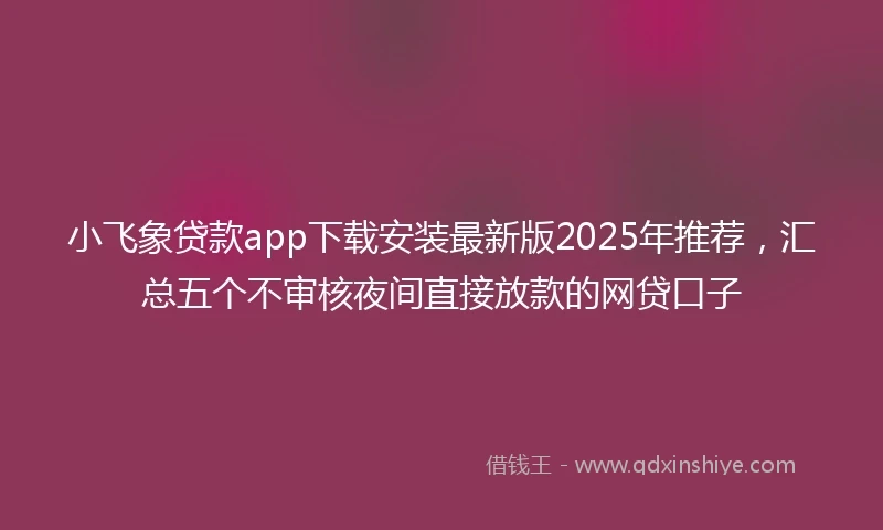 小飞象贷款app下载安装最新版2025年推荐，汇总五个不审核夜间直接放款的网贷口子