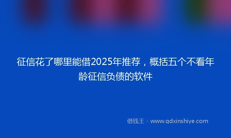 征信花了哪里能借2025年推荐,概括五个不看年龄征信负债的软件