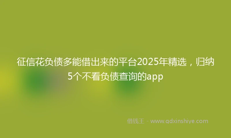 征信花负债多能借出来的平台2025年精选，归纳5个不看负债查询的app