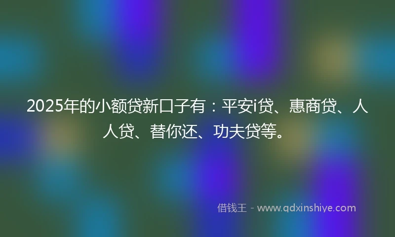 2025年的小额贷新口子有：平安i贷、惠商贷、人人贷、替你还、功夫贷等。