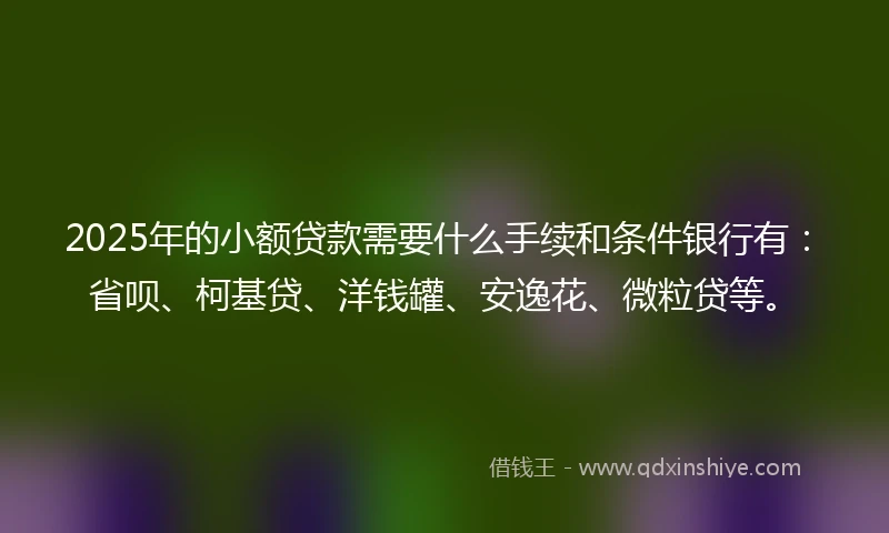 2025年的小额贷款需要什么手续和条件银行有：省呗、柯基贷、洋钱罐、安逸花、微粒贷等。