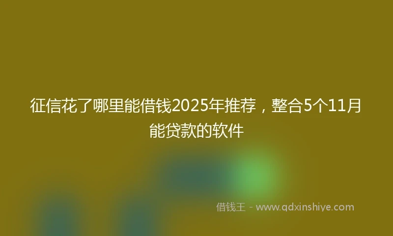 征信花了哪里能借钱2025年推荐，整合5个11月能贷款的软件