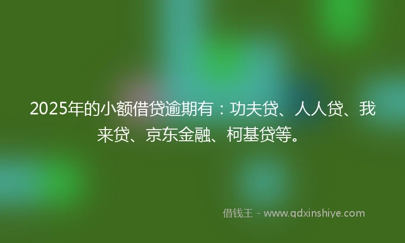 2025年的小额借贷逾期有：功夫贷、人人贷、我来贷、京东金融、柯基贷等。
