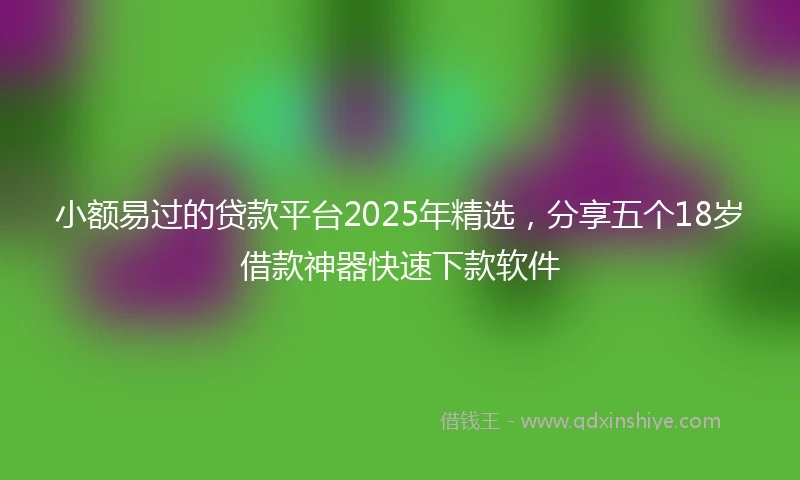 小额易过的贷款平台2025年精选，分享五个18岁借款神器快速下款软件