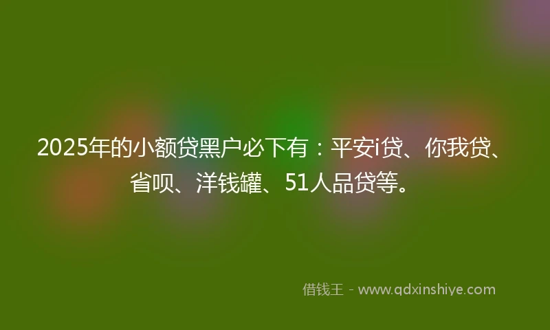 2025年的小额贷黑户必下有：平安i贷、你我贷、省呗、洋钱罐、51人品贷等。