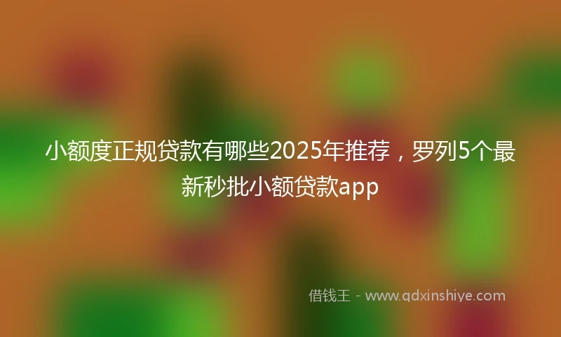 小额度正规贷款有哪些2025年推荐，罗列5个最新秒批小额贷款app