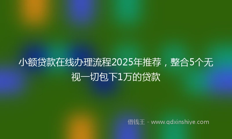 小额贷款在线办理流程2025年推荐，整合5个无视一切包下1万的贷款