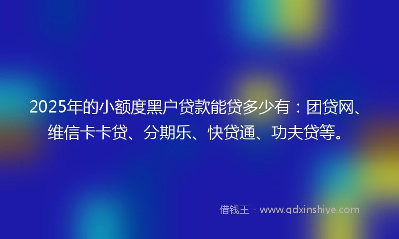 2025年的小额度黑户贷款能贷多少有：团贷网、维信卡卡贷、分期乐、快贷通、功夫贷等。