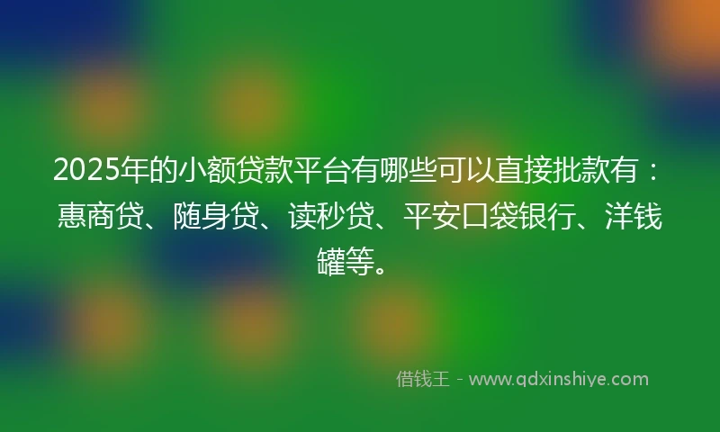 2025年的小额贷款平台有哪些可以直接批款有：惠商贷、随身贷、读秒贷、平安口袋银行、洋钱罐等。