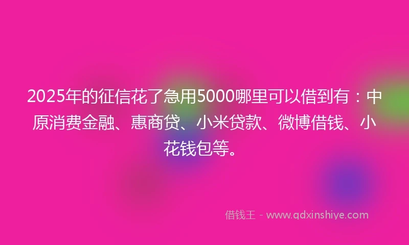 2025年的征信花了急用5000哪里可以借到有：中原消费金融、惠商贷、小米贷款、微博借钱、小花钱包等。