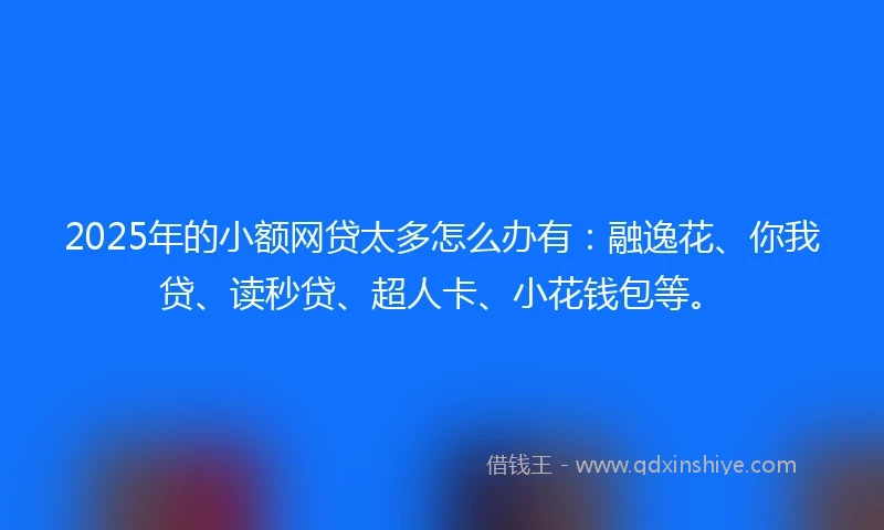 2025年的小额网贷太多怎么办有：融逸花、你我贷、读秒贷、超人卡、小花钱包等。