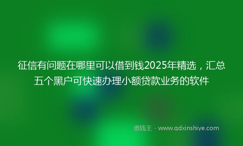 征信有问题在哪里可以借到钱2025年精选，汇总五个黑户可快速办理小额贷款业务的软件