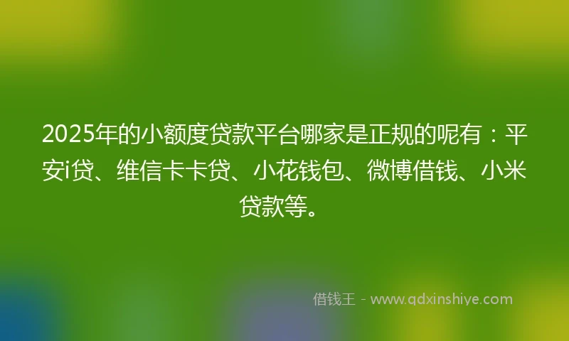 2025年的小额度贷款平台哪家是正规的呢有：平安i贷、维信卡卡贷、小花钱包、微博借钱、小米贷款等。