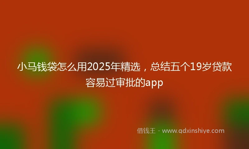 小马钱袋怎么用2025年精选，总结五个19岁贷款容易过审批的app