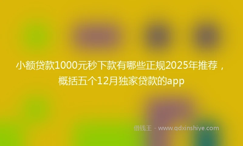 小额贷款1000元秒下款有哪些正规2025年推荐，概括五个12月独家贷款的app
