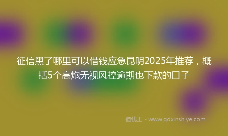 征信黑了哪里可以借钱应急昆明2025年推荐，概括5个高炮无视风控逾期也下款的口子