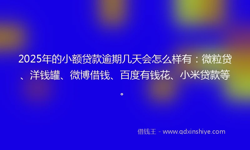 2025年的小额贷款逾期几天会怎么样有：微粒贷、洋钱罐、微博借钱、百度有钱花、小米贷款等。