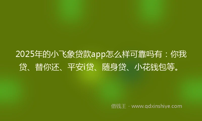 2025年的小飞象贷款app怎么样可靠吗有：你我贷、替你还、平安i贷、随身贷、小花钱包等。