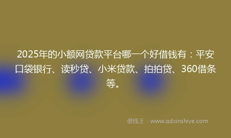 2025年的小额网贷款平台哪一个好借钱有：平安口袋银行、读秒贷、小米贷款、拍拍贷、360借条等。