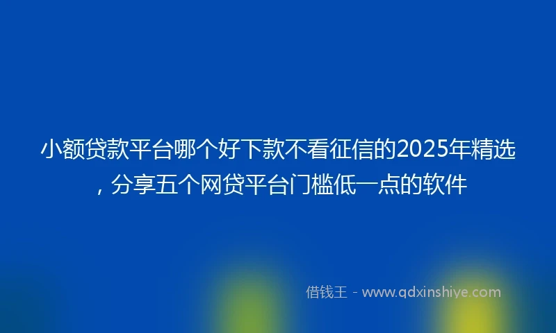 小额贷款平台哪个好下款不看征信的2025年精选，分享五个网贷平台门槛低一点的软件
