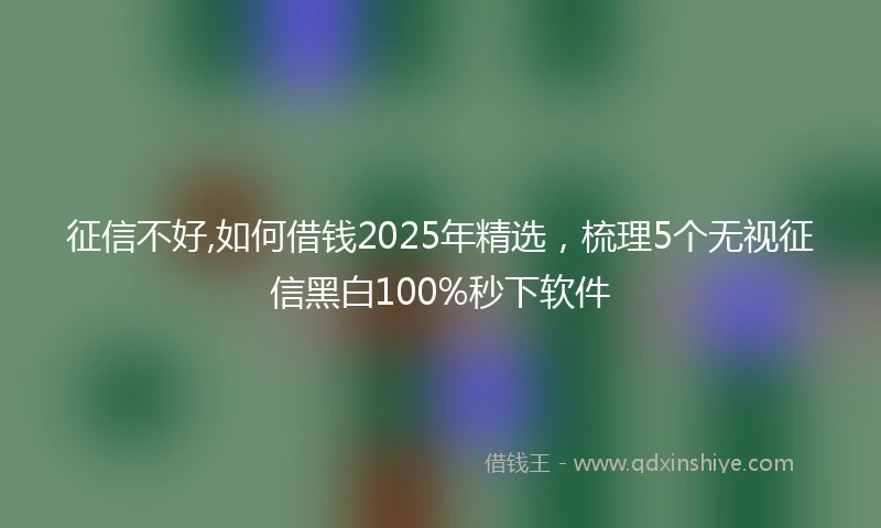 征信不好,如何借钱2025年精选，梳理5个无视征信黑白100%秒下软件