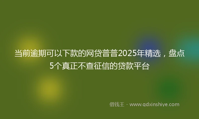 当前逾期可以下款的网贷普普2025年精选，盘点5个真正不查征信的贷款平台