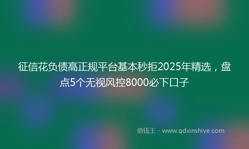 征信花负债高正规平台基本秒拒2025年精选，盘点5个无视风控8000必下口子