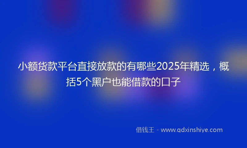小额货款平台直接放款的有哪些2025年精选，概括5个黑户也能借款的口子