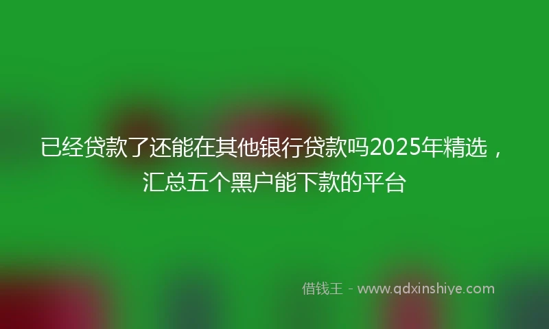 已经贷款了还能在其他银行贷款吗2025年精选，汇总五个黑户能下款的平台