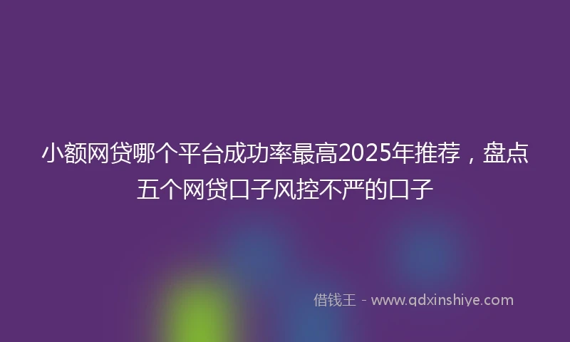 小额网贷哪个平台成功率最高2025年推荐，盘点五个网贷口子风控不严的口子