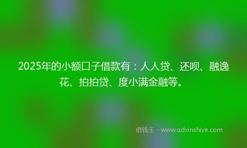 2025年的小额口子借款有：人人贷、还呗、融逸花、拍拍贷、度小满金融等。