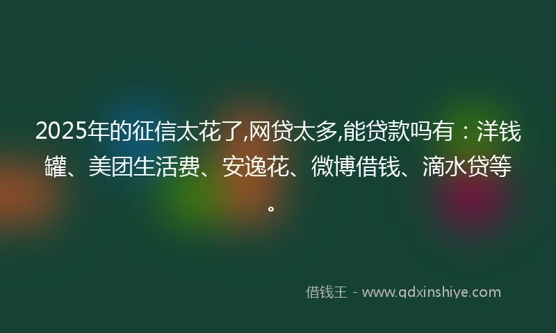 2025年的征信太花了,网贷太多,能贷款吗有：洋钱罐、美团生活费、安逸花、微博借钱、滴水贷等。