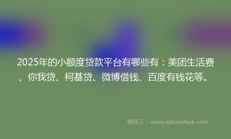 2025年的小额度贷款平台有哪些有：美团生活费、你我贷、柯基贷、微博借钱、百度有钱花等。