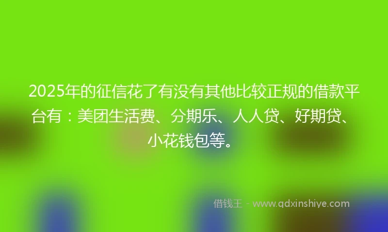 2025年的征信花了有没有其他比较正规的借款平台有：美团生活费、分期乐、人人贷、好期贷、小花钱包等。
