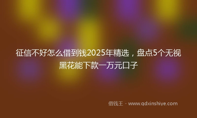 征信不好怎么借到钱2025年精选，盘点5个无视黑花能下款一万元口子