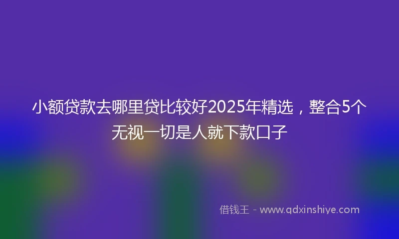 小额贷款去哪里贷比较好2025年精选，整合5个无视一切是人就下款口子