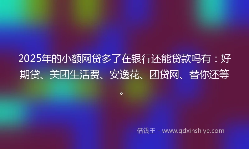 2025年的小额网贷多了在银行还能贷款吗有：好期贷、美团生活费、安逸花、团贷网、替你还等。