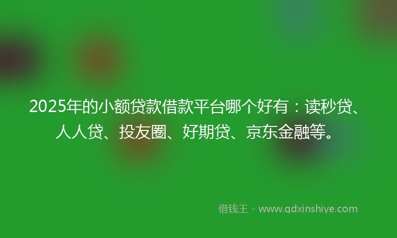 2025年的小额贷款借款平台哪个好有：读秒贷、人人贷、投友圈、好期贷、京东金融等。