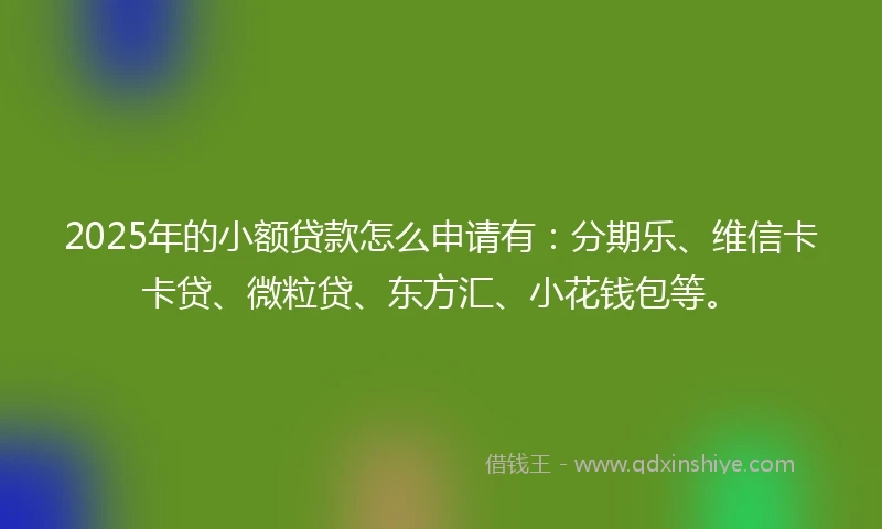 2025年的小额贷款怎么申请有：分期乐、维信卡卡贷、微粒贷、东方汇、小花钱包等。