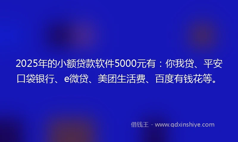 2025年的小额贷款软件5000元有：你我贷、平安口袋银行、e微贷、美团生活费、百度有钱花等。