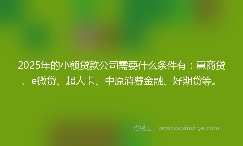 2025年的小额贷款公司需要什么条件有：惠商贷、e微贷、超人卡、中原消费金融、好期贷等。